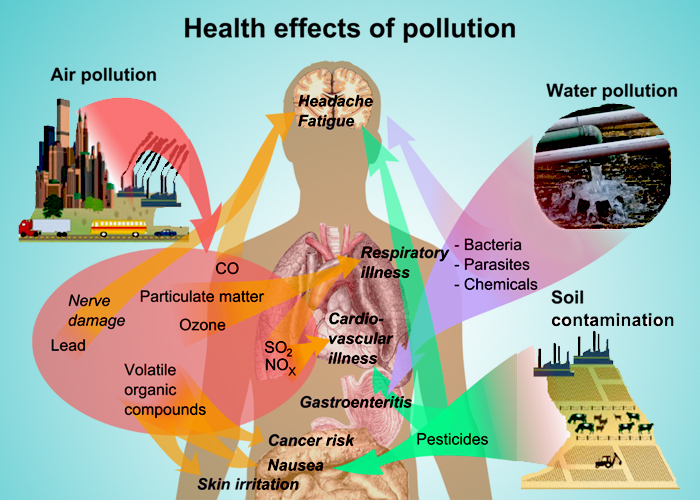 The effect of indoor air pollution on human health